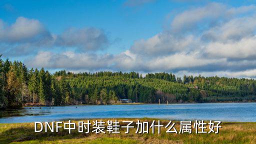 dnf时装鞋加什么属性，DNF中时装鞋子加什么属性好
