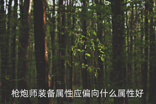 dnf枪炮师怼什么属性，枪炮师装备属性应偏向什么属性好
