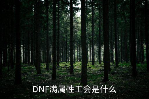 dnf满属性工会什么意思，DNF满属性工会是什么