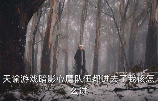 天谕游戏暗影心魔队伍都进去了我该怎么进