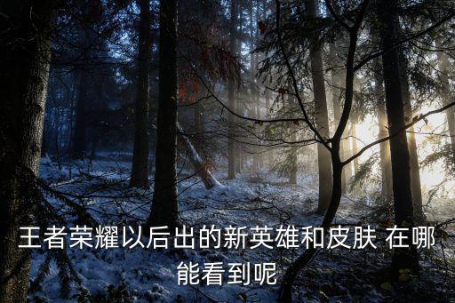 王者荣耀以后出的新英雄和皮肤 在哪能看到呢