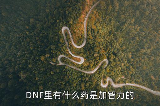 DNF里有什么药是加智力的