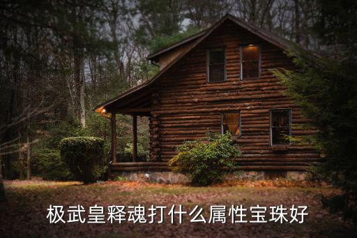 极武皇释魂打什么属性宝珠好