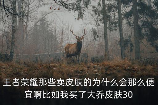 王者荣耀那些卖皮肤的为什么会那么便宜啊比如我买了大乔皮肤30