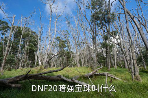 DNF20暗强宝珠叫什么