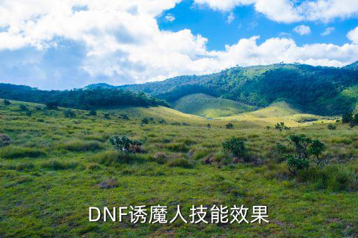 dnf诱魔者技能什么属性，dnf诱魔者怎么提升伤害