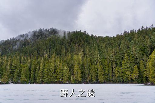 野人之谜