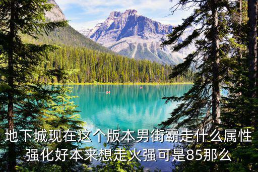 地下城现在这个版本男街霸走什么属性强化好本来想走火强可是85那么