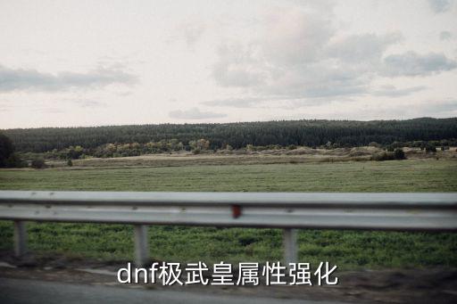 dnf极武皇堆什么属性，dnf现在的极武圣应该堆什么属性好