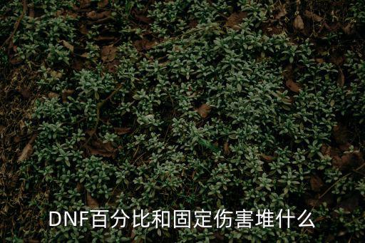 DNF百分比和固定伤害堆什么