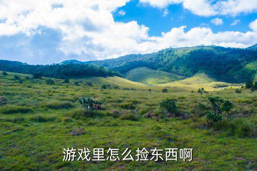游戏里怎么捡东西啊