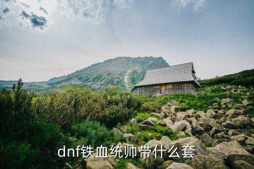 dnf铁血统帅是什么属性，dnf铁血统帅加什么属性