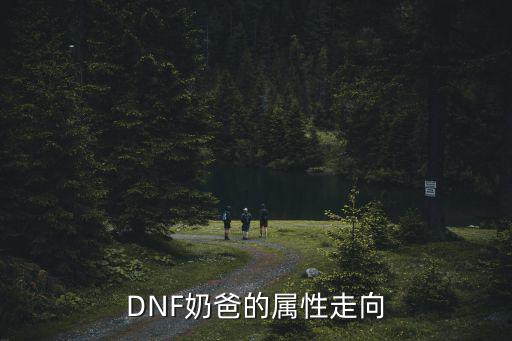 DNF奶爸的属性走向