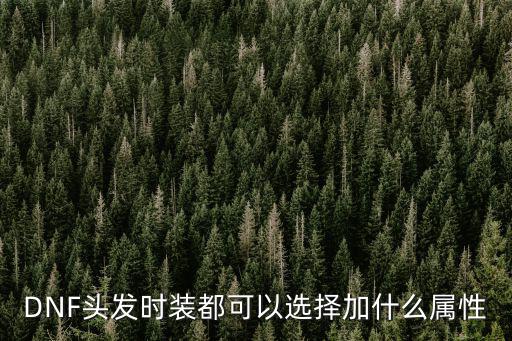 DNF头发时装都可以选择加什么属性