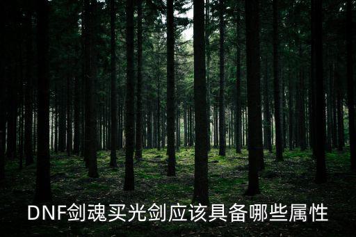 DNF光剑掌握什么属性，DNF剑魂买光剑应该具备哪些属性