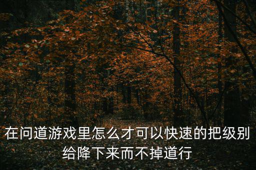 在问道游戏里怎么才可以快速的把级别给降下来而不掉道行