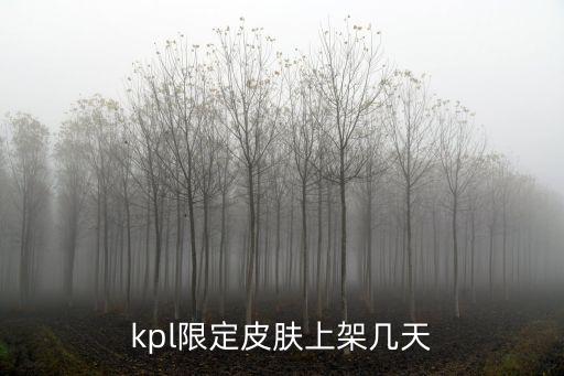 kpl限定皮肤上架几天