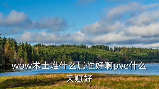 wow术士堆什么属性好啊pve什么天赋好