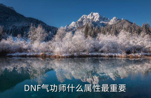 dnf气功师要什么属性，DNF气功师点装的属性应该选什么