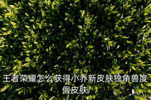 王者荣耀怎么获得小乔新皮肤独角兽度假皮肤