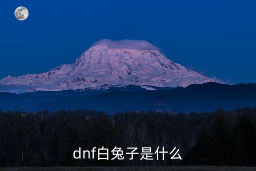 dnf白兔子是什么