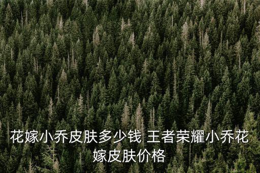 花嫁小乔皮肤多少钱 王者荣耀小乔花嫁皮肤价格
