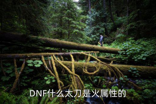 dnf火属性太刀叫什么，地下城与勇士六十五级的太刀火属性叫什么刀