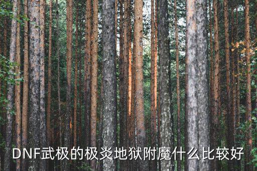DNF武极的极炎地狱附魔什么比较好