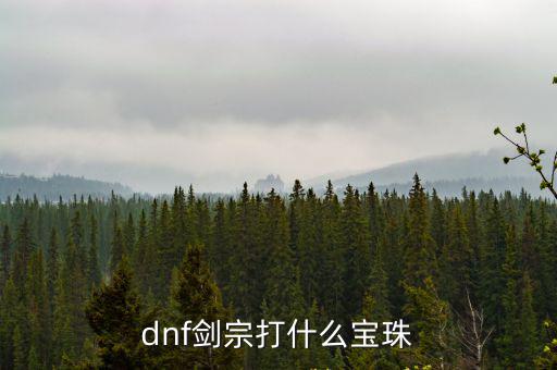 dnf剑宗打什么宝珠