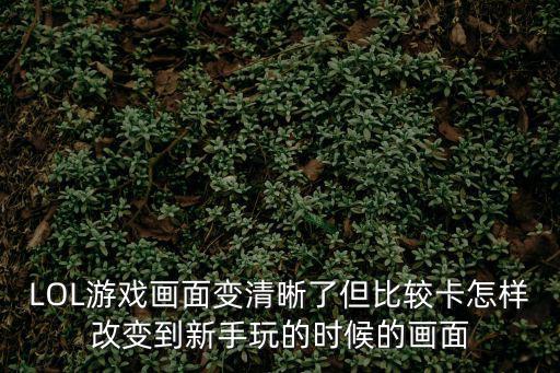 英雄联盟手游细节画质怎么调，lol怎么把画质调到最好