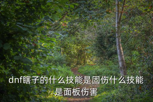 dnf瞎子的什么技能是固伤什么技能是面板伤害