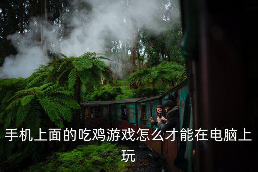 手机上面的吃鸡游戏怎么才能在电脑上玩