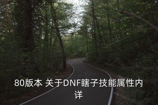 80版本 关于DNF瞎子技能属性内详