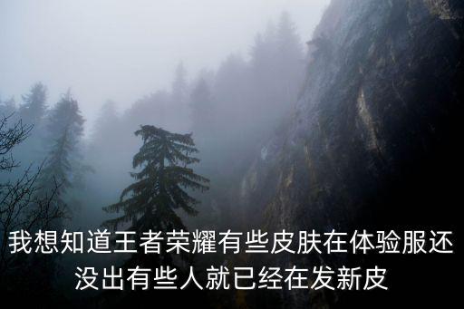 我想知道王者荣耀有些皮肤在体验服还没出有些人就已经在发新皮