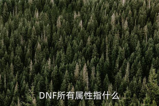 DNF所有属性指什么
