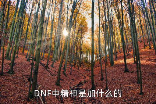 DNF中精神是加什么的