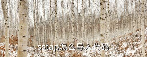 sstap怎么导入代码