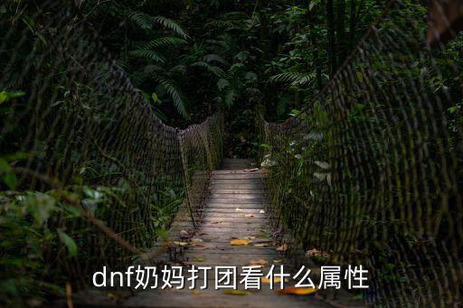 dnf奶妈打团看什么属性