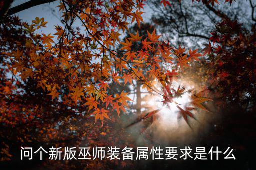 问个新版巫师装备属性要求是什么