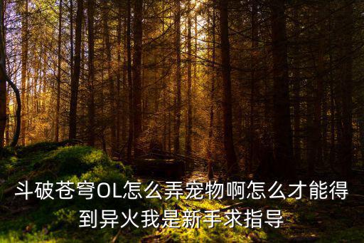 斗破苍穹OL怎么弄宠物啊怎么才能得到异火我是新手求指导