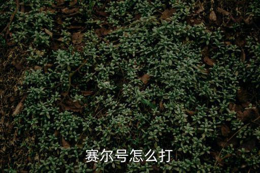 赛尔号怎么打