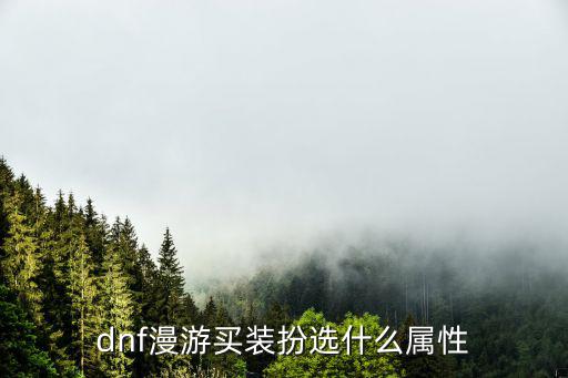 dnf漫游买装扮选什么属性