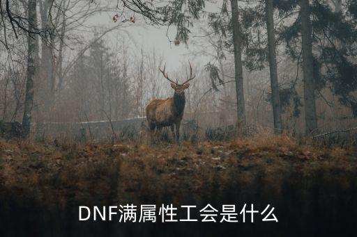dnf工会满属性什么意思，DNF满属性工会是什么