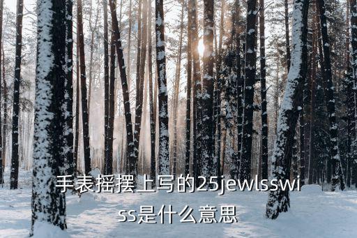 手表摇摆上写的25jewlsswiss是什么意思