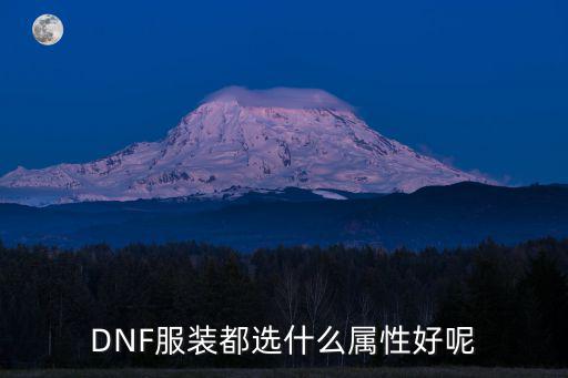 dnf玉荣都选什么属性，dnf皮肤选什么属性