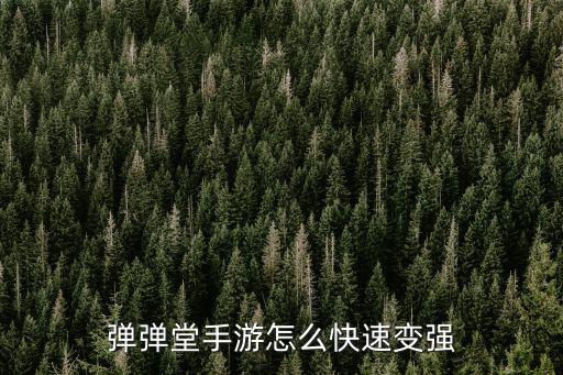 弹弹堂手游怎么快速变强