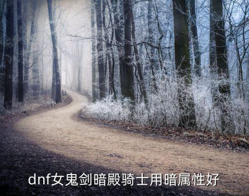 dnf暗殿骑士什么属性好，暗殿骑士附甚么属性好