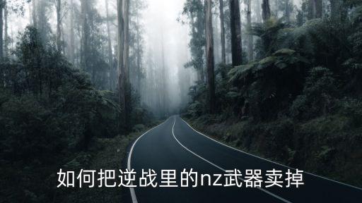 如何把逆战里的nz武器卖掉