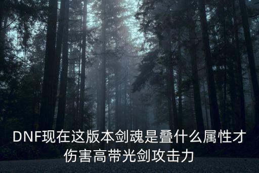 DNF现在这版本剑魂是叠什么属性才伤害高带光剑攻击力