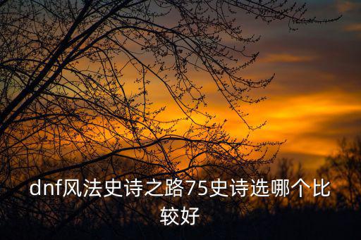 dnf风法史诗之路75史诗选哪个比较好